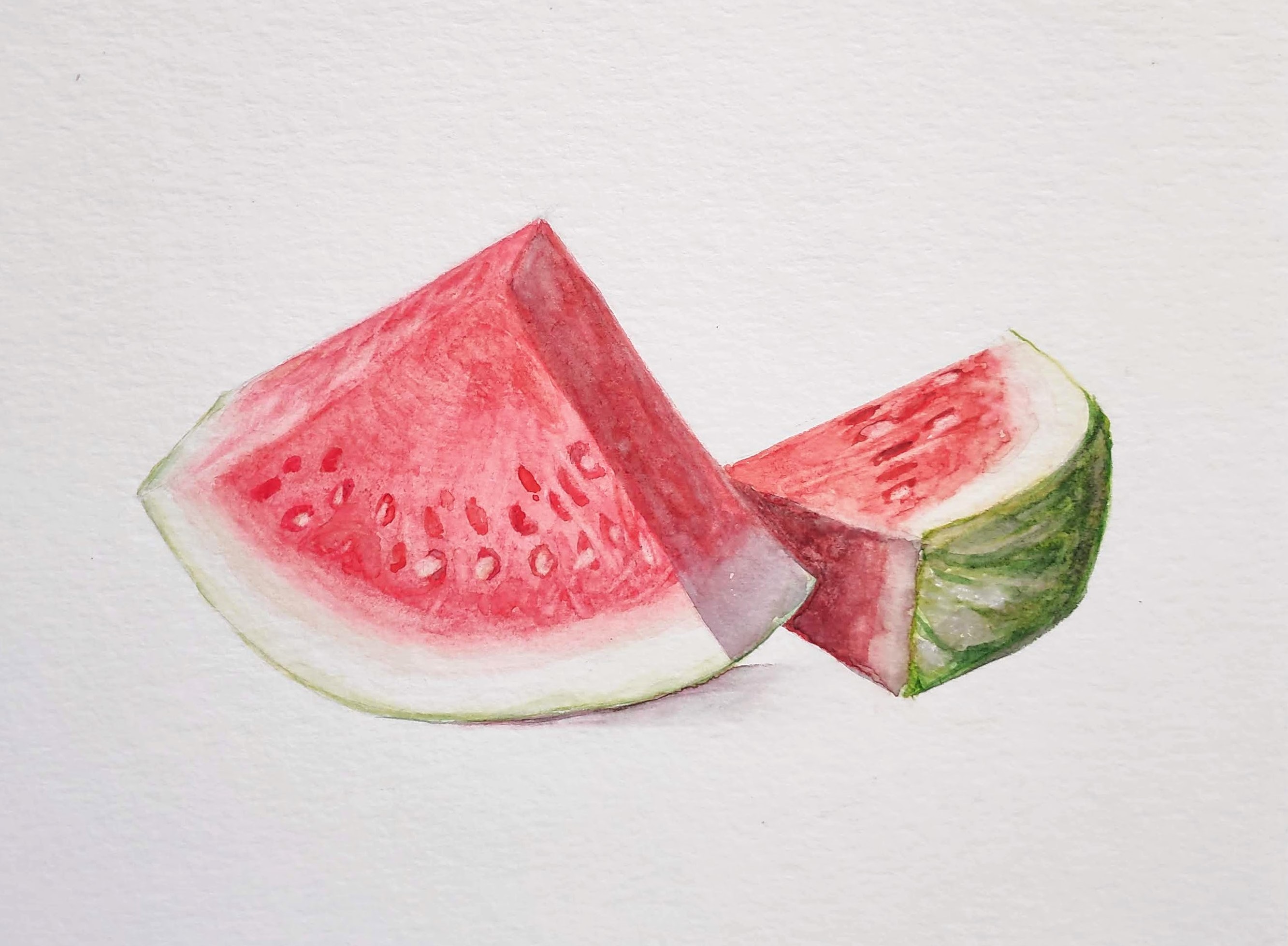 Desenho de Observação em Aquarela